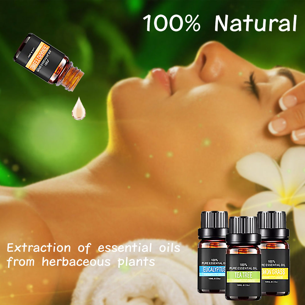 PureBloom Essentials - Premium Aromatherapy Essential Oils Set