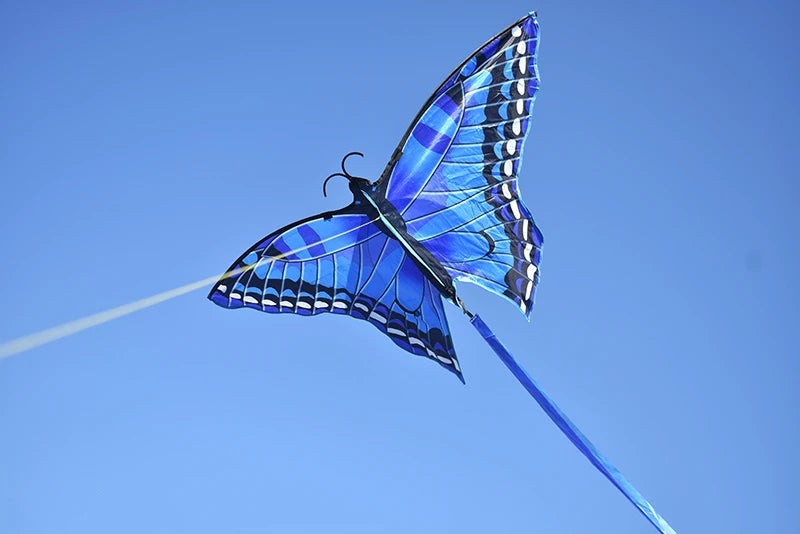 Free Shipping butterfly kites / outdoor toys for kids