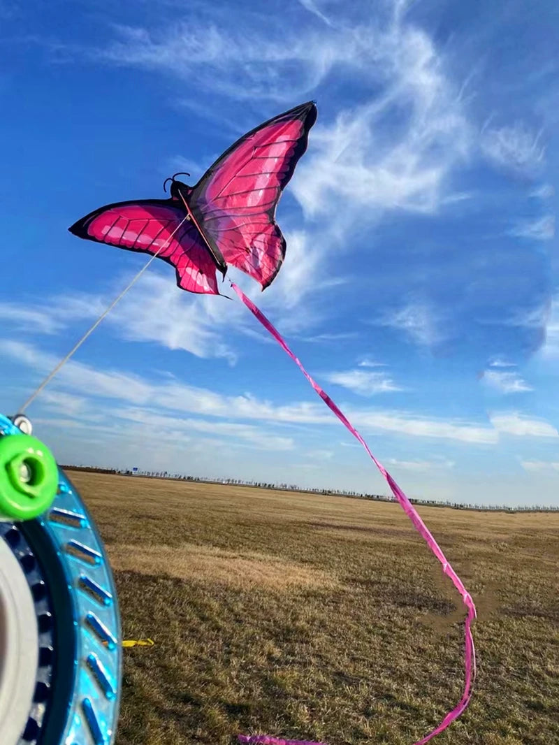 Free Shipping butterfly kites / outdoor toys for kids