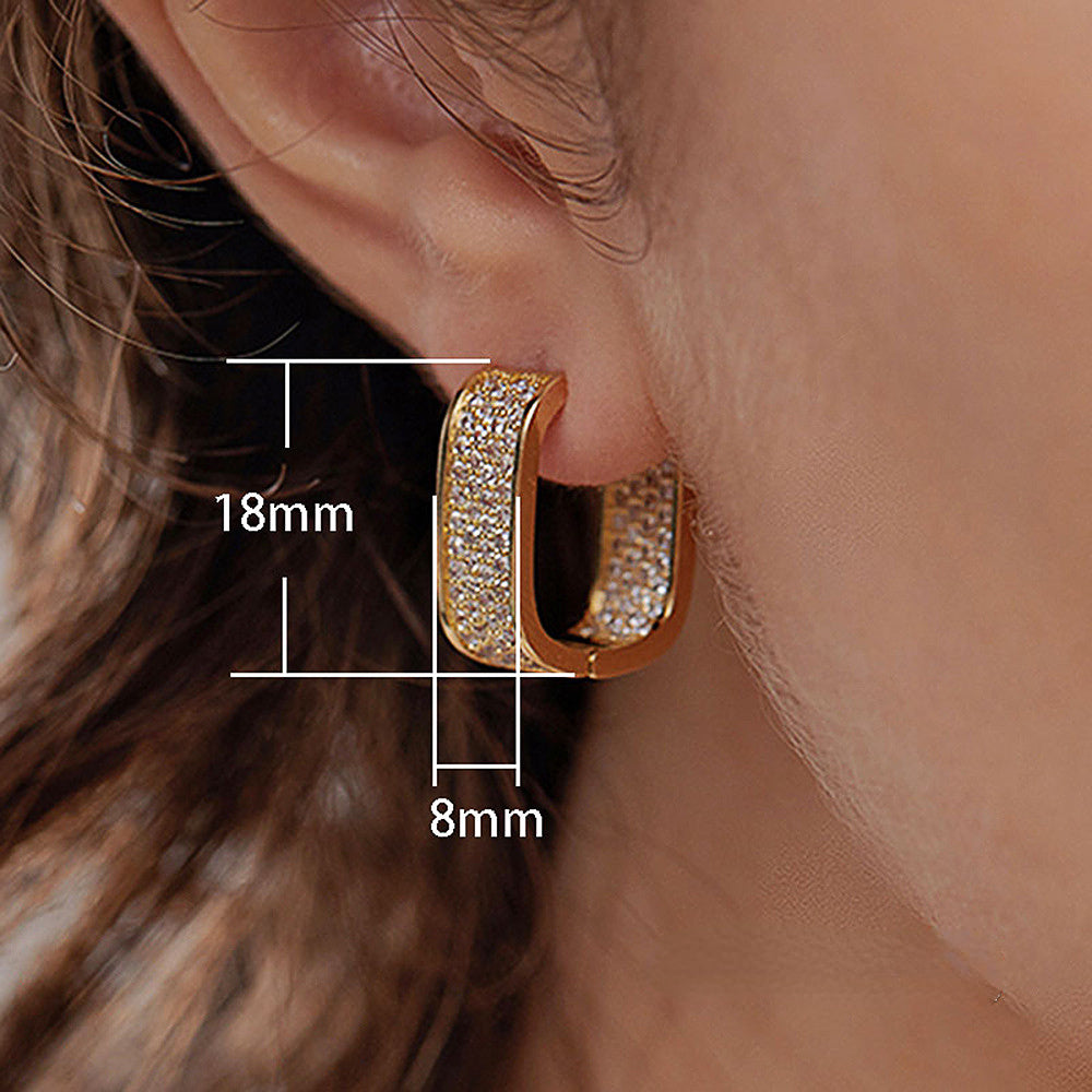 14K Gold Hoop Earring 925 sterling silver AAAAA Zircon Jewelry Party Wedding Earrings for Women Men Promise Birthday Jewelry