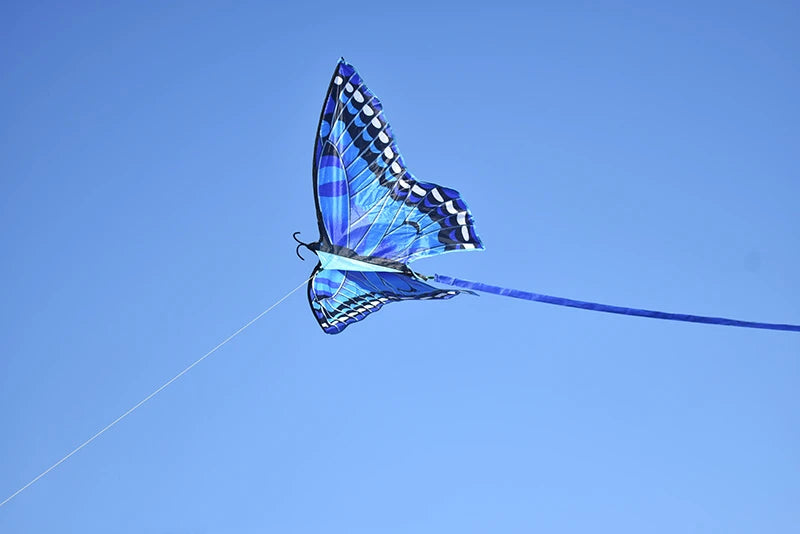 Free Shipping butterfly kites / outdoor toys for kids