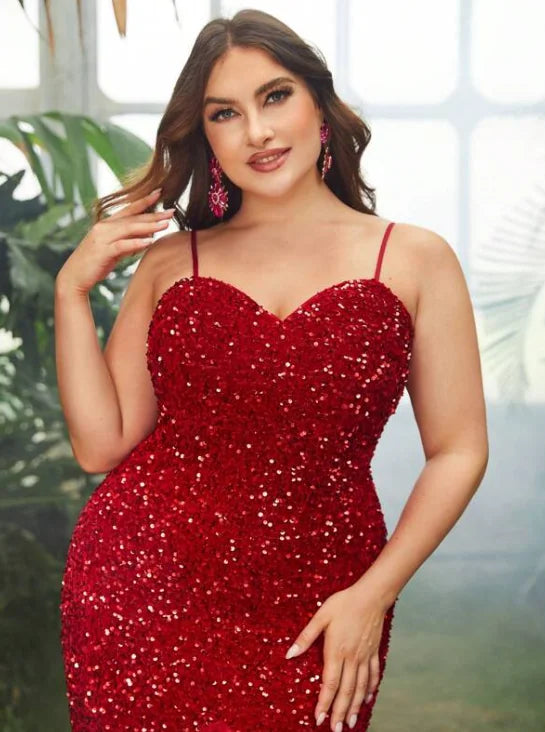 Plus Size Evening Elegant Dresses